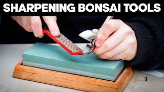 How to Sharpen and Maintain your Bonsai Tools ️