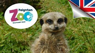 Paignton Zoo, Devon! (2022) #PAIGNTON