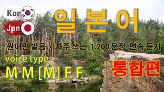 일본어 / Type M M [M] F F [통합편] 원어민 발음. 짧고 쉬운 1,200(8 hr) 문장 연속 듣기.  / 생활 회화. 식당. 교통. 쇼핑. 호텔. 공항. 병원.