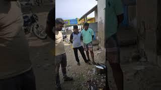 Manapad, Tuticorin Fish Cutting Silver Barfish - Dorab Wolf herring Fish - Vaali  Meen - Meenavan