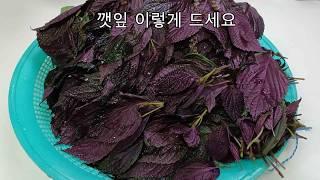 깻잎이 이렇게 휼륭한 요리였다니 놀랍습니다