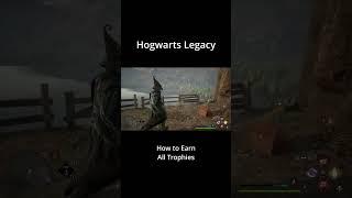 Hogwarts Legacy Platinum Trophy Guide