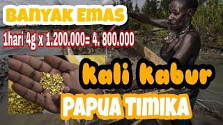 Dulang emas di kali kabur timika Papua | Timika kota dolar | cara dulang tradisional