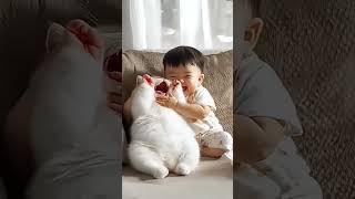 081 Baby and Cat Bursting into Laughter Together! | Animal Friendship #petparade  #laughoutloudpets