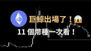 以太坊巨鯨出場！再次受阻怎麼搞？11個幣種一次看！｜【日日幣選】20240923 (一)