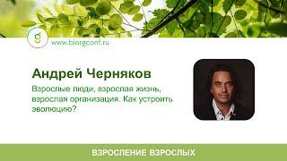 Выступление Андрея Чернякова на Живой Компании 2025 в Москве