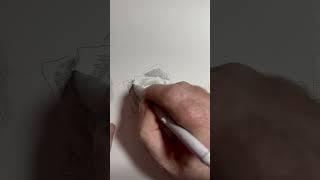 Draw a simple rose in pencil