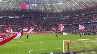 Intro FC Bayern - FC Augsburg #fcbfca #fcb #fcbayern #bundesliga