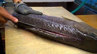 How to fillet green jobfish Sashimi by Professional | seafood Okinawa Japan