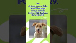 #Petaverse #ZoopApp #ZoopCommunity #Zoopers #ZoopPets #BNS #BNSS #PC #FlashReport #Zoop