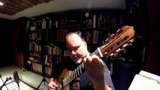 Patrick Kearney: Luthier Series: Tango en skaï (by R.Dyens):  Joël Barbeau Guitar