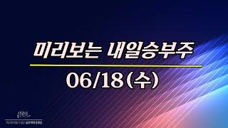 06/18일(수) 미리보는 내일승부주 - 미투온.헥토파이낸셜.킵스파마.일신바이오.아이티센글로벌.LG씨엔에스.알체라.비트맥스.달바글로벌.에르코스.내추럴엔도텍.인스코비.핑거.에스엠씨지