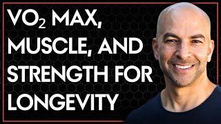 The importance of VO2 max, muscle mass, and muscular strength for lifespan