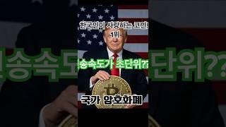 "SEC도 막지 못한 리플의 질주"