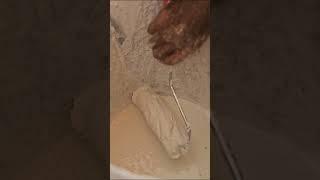 Super funny! Monkey Kuku learns to paint houses 2