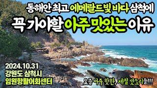 “어머!이건 꼭 먹어야해!”요즘 핫한 제철 맛도리들이 가득한 곳,에메랄드빛 삼척에 가야 할 이유!