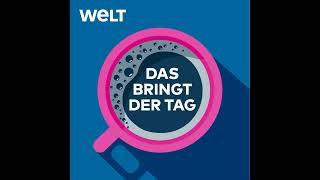 Grüne Rücktrittswelle – „Mutlosigkeit hat sich breit gemacht“