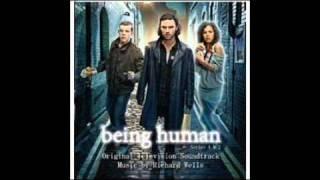 Being Human TV Soundtrack- A Wonderful Thing.