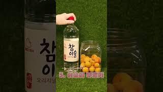 너넨 초록매실밖에 모르지? 난 빨간매실이야 홍매실 향기 조와....