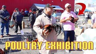 Las Vegas Poultry Show & Exhibition/Episode 3