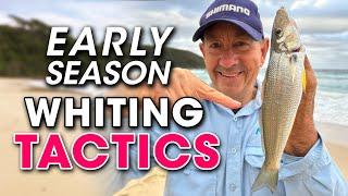 Early Season Whiting TACTICS You Need to Know! Beach Fishing 