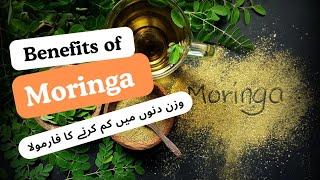 Moringa Secrets for Fast Weight Loss & Desi Beauty Tips! #desibeautytips
