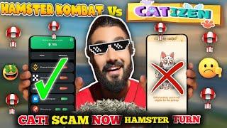 Catizen airdrop vs Hamster kombat airdrop | cati listing | hamster kombat coin distribution | CATI