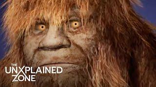 "I Was TERRIFIED!" 800 Pound Bigfoot Found in New York (S2) | MonsterQuest: I Saw a Monster