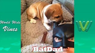 New BatDad Vine Compilation (All Vines)  | Best BatDad Vines 2018