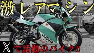 Xで超バズったバイク！界隈最速のオートバイの性能がヤバすぎた！！！【YAMAHA TZM50】