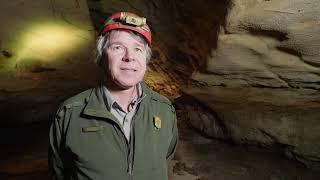 Shark Relics of Mammoth Cave