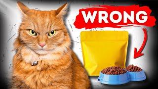 The Most Dangerous Cat Care Mistakes to Avoid!