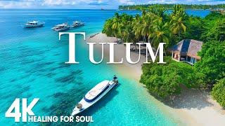 TULUM NATURE in 4K UHD Drone Film + Relaxing Piano Music for Stress Relief, Sleep, Spa, Yoga, Cafe