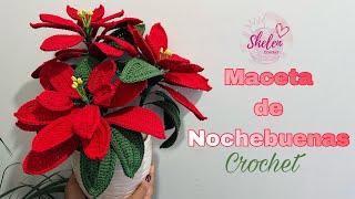 Como tejer una Nochebuena Crochet🪴🪅