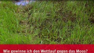 WOLG Garten "Mein Traumrasen" ohne Moos