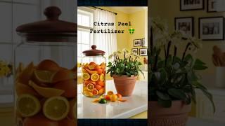 Citrus Peel Fertilizer| Lemon Peel Fertilizer For Plants #ytshorts #shortsfeed #shorts