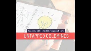 Chip Baker of The Success Chronicles shares his perspective on Untapped Goldmines with Cijaye.