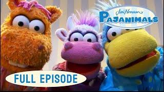 Pajanimals | I Was A Baby  / We’re Going Camping ️ | Jim Henson Family Hub | Kids Cartoon