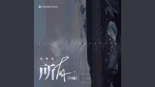 所有 (DJ版)