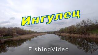 На р.ИНГУЛЕЦ / Хорошее начало, неожиданный конец.... / Fishing Video