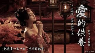 張杰x張靚穎 - 愛的供養「只期盼你，停住流轉的目光。」[ High Quality Lyrics ][ Chinese Style ] tk推薦