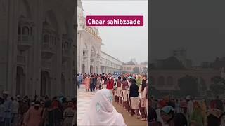 #chaarsahibzaade️#gurbanikatha#Short#Viral#trending