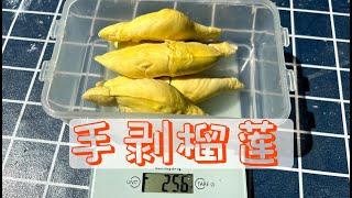 【手剥榴莲】看看这个小小的榴莲有多少肉[Hand-peeled durian][ทุเรียนปอกเปลือก] ดูสิว่าทุเรียนตัวน้อยนี้มีเนื้อมากแค่ไหน