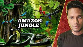 Amazon Jungle | mysterious facts about amazon Jungle #amazonrainforest Explanation by Mansur Alam