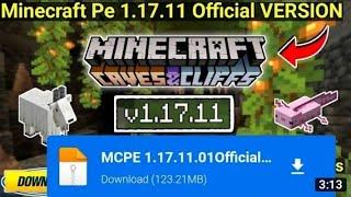 Minecraft new official update 1.17.10  | Minecraft 1.17.10 (TECH ZINE)