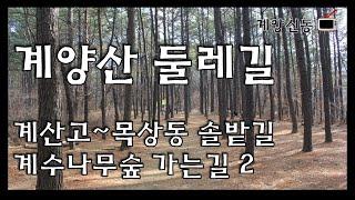 계양산 둘레길, 계산고에서 목상동 솔밭까지 (계수나무 숲 가는방법2)