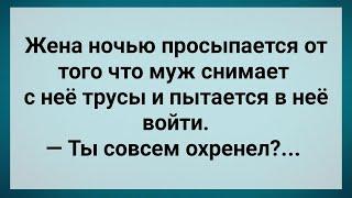 Ненасытный Муж Ночью Пристает к Жене! Сборник Свежих Анекдотов! Юмор!