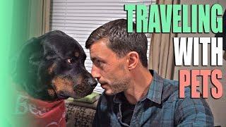 Traveling with Pets in an RV - What It's Like Full Time RVing with Animals