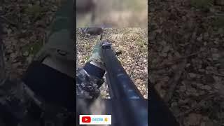 # Grizzly bear attack on hunting dogs, guns and hunters @MrBeast #shorts #tiktok