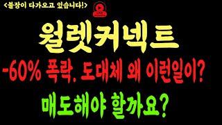 [월렛커넥트][월렛커넥트코인]코인전망 비트코인 이더리움 도지코인